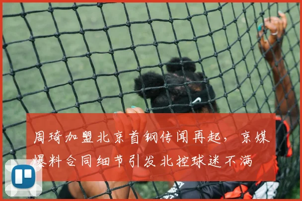 周琦加盟北京首钢传闻再起，京媒爆料合同细节引发北控球迷不满
